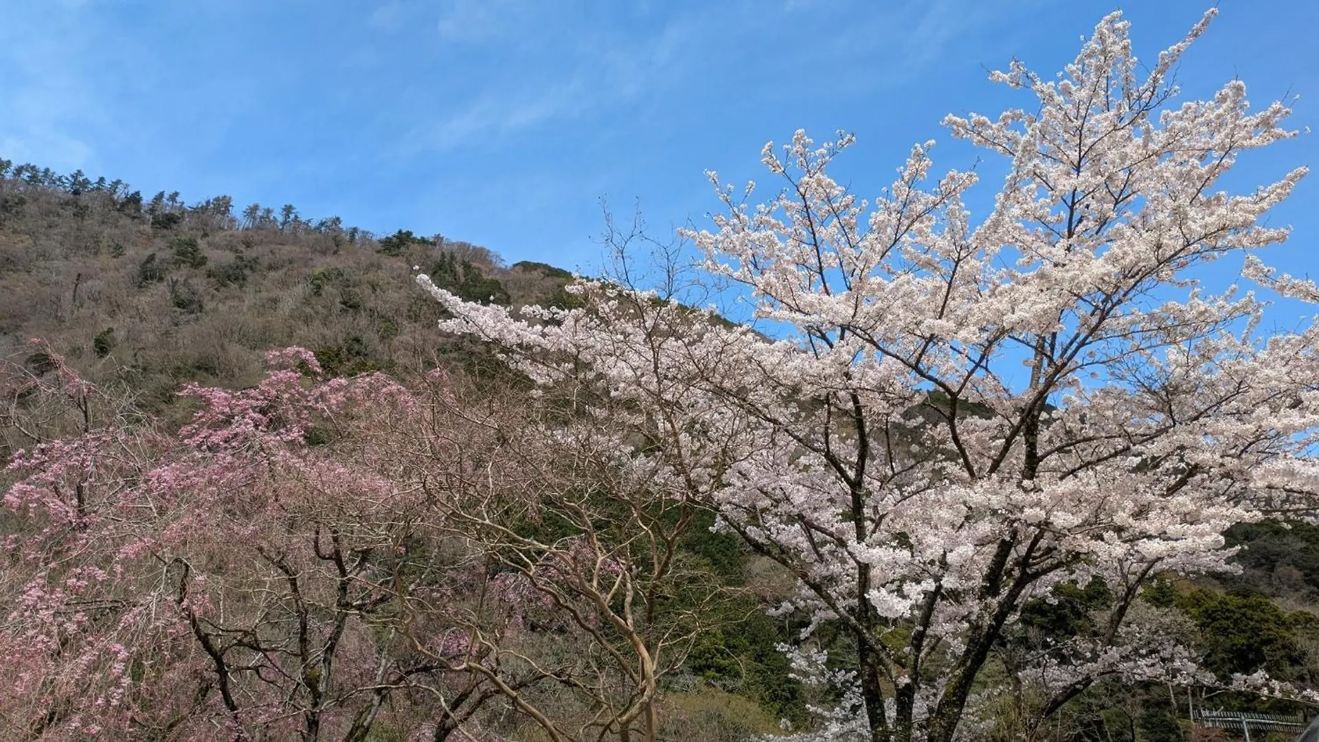 Apartament Condominium Sakura B5 - Vacation Stay 56334V Hakone