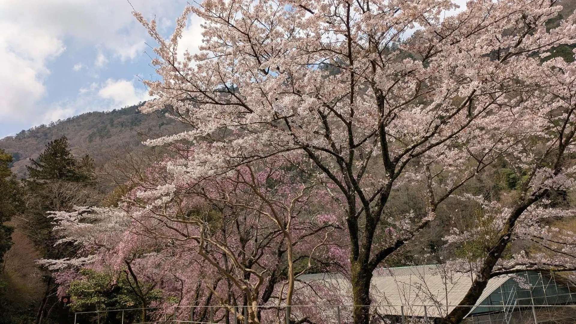 Apartment Condominium Sakura B5 - Vacation Stay 56334V Hakone